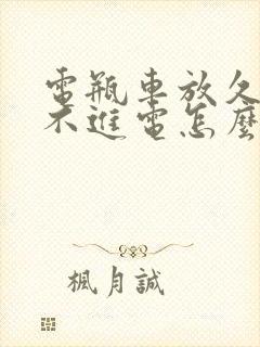 电瓶车放久了充不进电怎么办