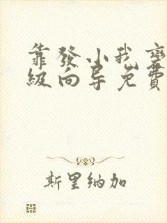 靠发小我变身顶级向导免费阅读