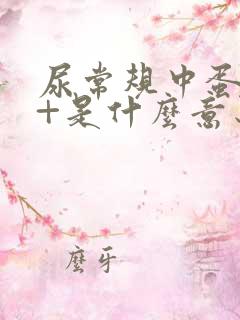 尿常规中蛋白质+是什么意思