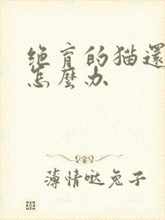 绝育的猫还乱尿怎么办