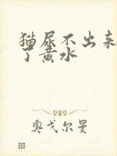 猫尿不出来还吐了黄水