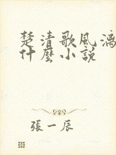 楚清歌风漓夜是什么小说