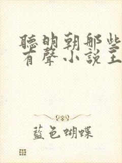 听明朝那些事儿有声小说王更新