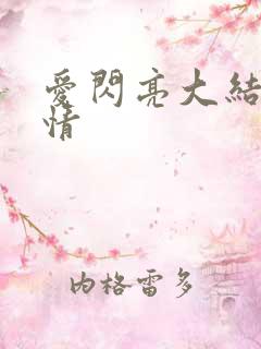 爱闪亮大结局剧情