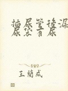 插尿管后漏尿但尿袋有尿