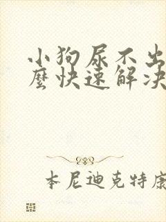 小狗尿不出来怎么快速解决