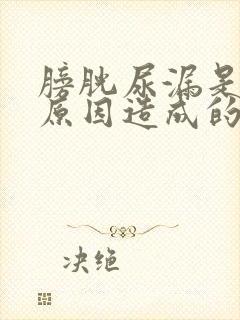 膀胱尿漏是什么原因造成的