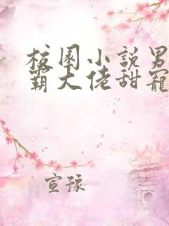 校园小说男主校霸大佬甜宠文