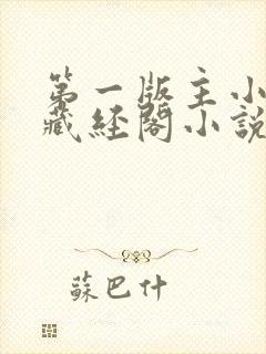 第一版主小说网藏经阁小说网