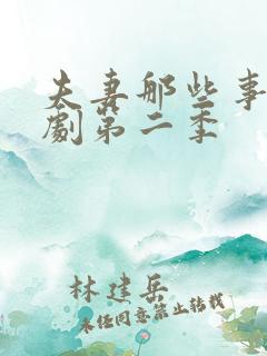 夫妻那些事电视剧第二季