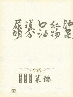 尿道口红肿有透明分泌物是什么病