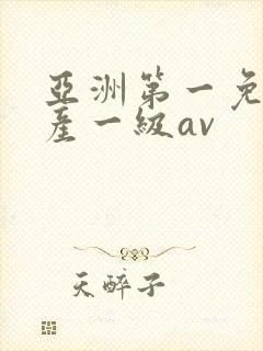亚洲第一免费国产一级av