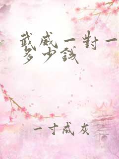 武威一对一辅导多少钱