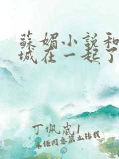 苏媚小说和赵春城在一起了吗