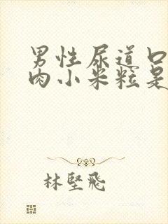 男性尿道口长了肉小米粒是怎么回事