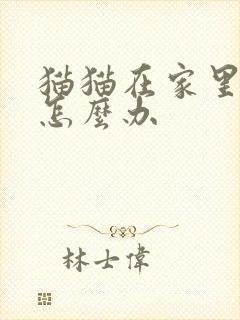 猫猫在家里乱尿怎么办