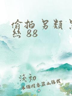 偷拍 另类 黑丝 88