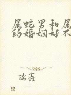 属蛇男和属蛇女的婚姻好不好