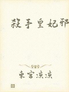 杀手皇妃邪魅帝