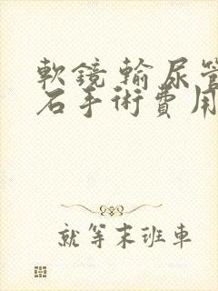 软镜 输尿管结石手术费用