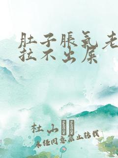 肚子胀气老放屁拉不出屎