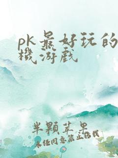 pk最好玩的手机游戏