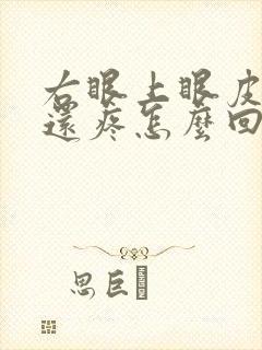 右眼上眼皮肿了还疼怎么回事