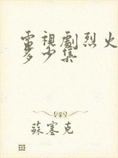 电视剧烈火一共多少集