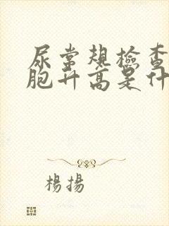 尿常规检查白细胞升高是什么原因