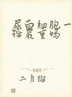 尿白细胞一个加号严重吗