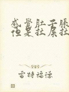 感觉肚子胀涨的但是拉屎拉不出来是什么回事