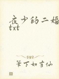 夜少的二婚新妻txt