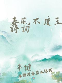 春风不度玉门关诗词