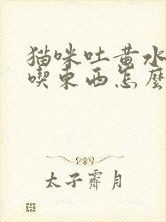 猫咪吐黄水也不吃东西怎么办