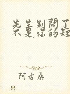 先生别闹了新娘不是你的短剧一口气看完