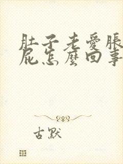 肚子老爱胀气放屁怎么回事