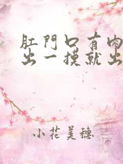 肛门口有肉球突出一摸就出血