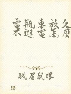 电瓶车放久了充不进电怎么回事