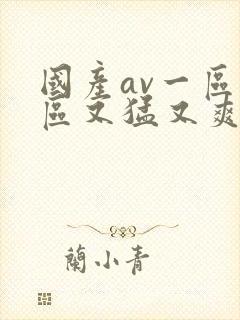 国产av一区二区又猛又爽