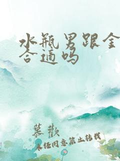 水瓶男跟金牛女合适吗