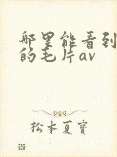 哪里能看到免费的毛片av