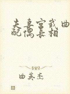 夫妻宫武曲贪狼配偶长相