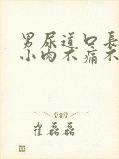 男尿道口长了个小肉不痛不痒