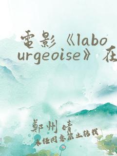 电影《labourgeoise》在线观看