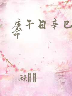 庚午日辛巳时男命