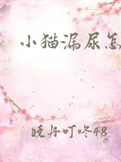 小猫漏尿怎么办