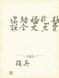 你结婚我劫婚小说全文免费