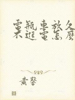 电瓶车放久了充不进电怎么解决