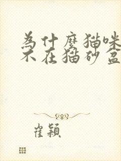 为什么猫咪突然不在猫砂盆拉屎拉尿