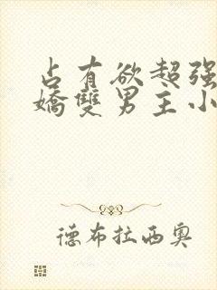 占有欲超强的病娇双男主小说攻受